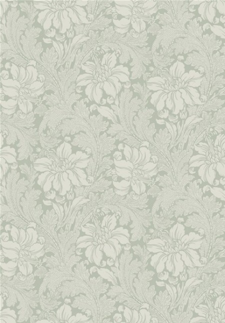 Afbeeldingen van Acanthus - 5350