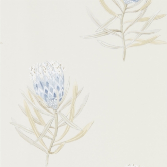 Bild på Protea Flower China Blue/Canvas - 216327