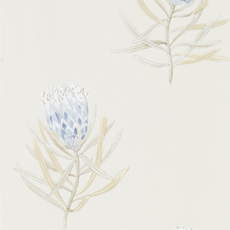 Picture of Protea Flower China Blue/Canvas - 216327