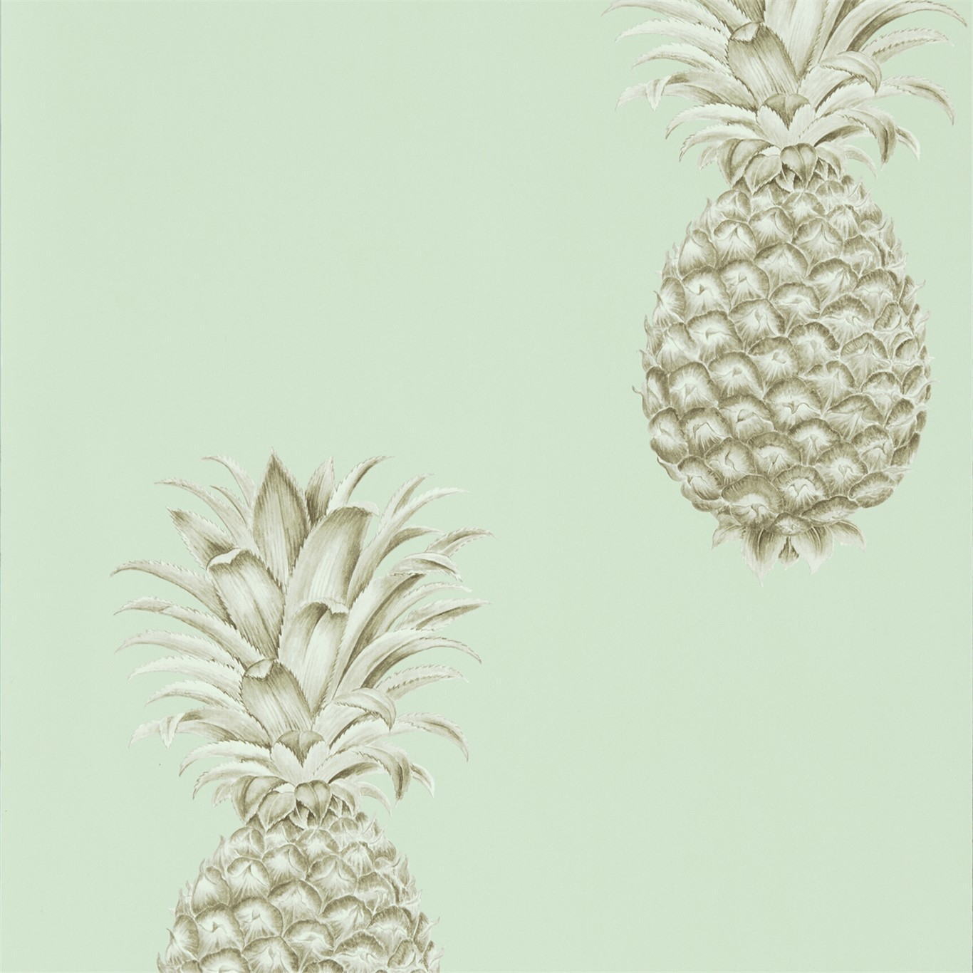 Picture of Pineapple Royale Porcelain/Sepia - 216325
