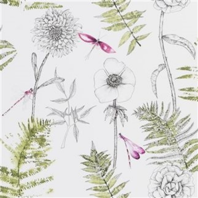 Bild på ACANTHUS MOSS - PDG1022/04