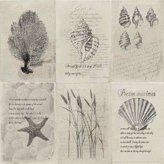 Bild på Skagen - 21021