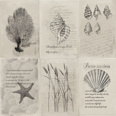 Bild på Skagen - 21021