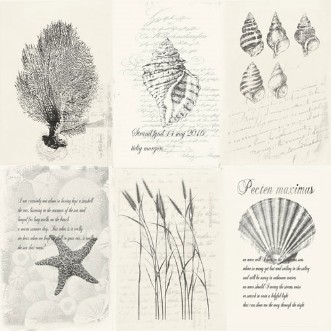 Bild på Skagen - 21020