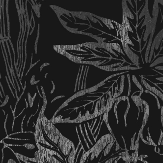 Picture of Hothouse004