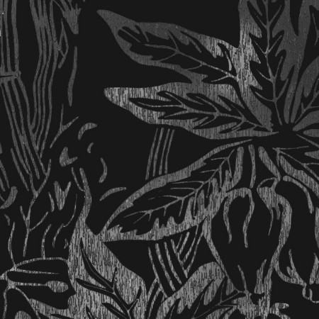 Image de Hothouse004