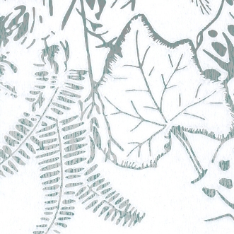 Picture of Hothouse002