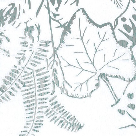 Image de Hothouse002