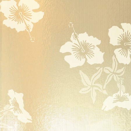 Image de Hibiscus003