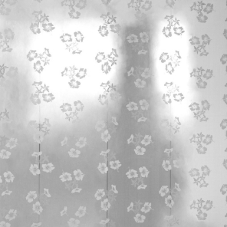 Afbeeldingen van Hibiscus002