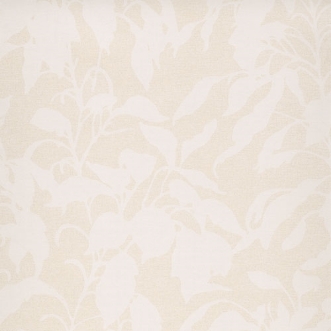 Bild på Pollux Angora - RIA902