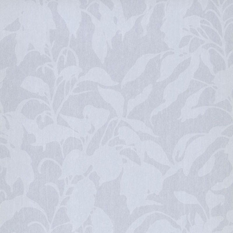 Bild på Pollux Glace - RIA901