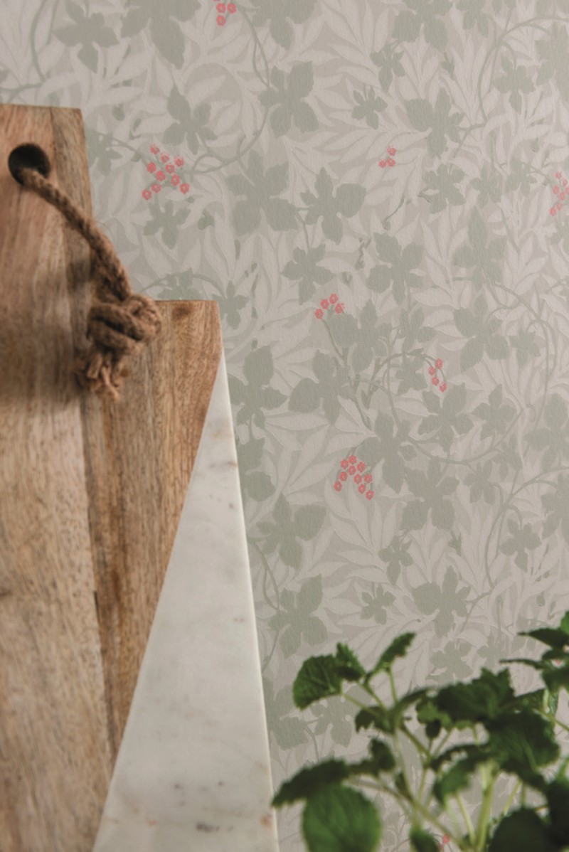 Picture of Vinbärsblad - 367-03