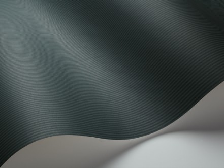 Picture of Stephen - 1881