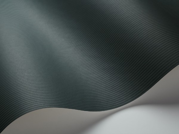 Picture of Stephen - 1881