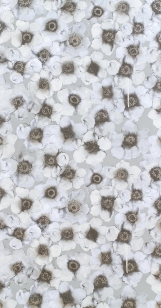 Image de Windflower Jade - WP2415