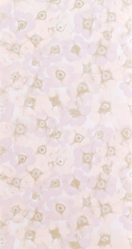 Picture of Windflower Blush - WP2414