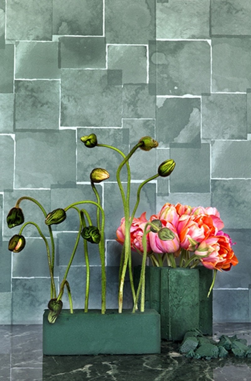 Image de Spry Oasis - WP2411