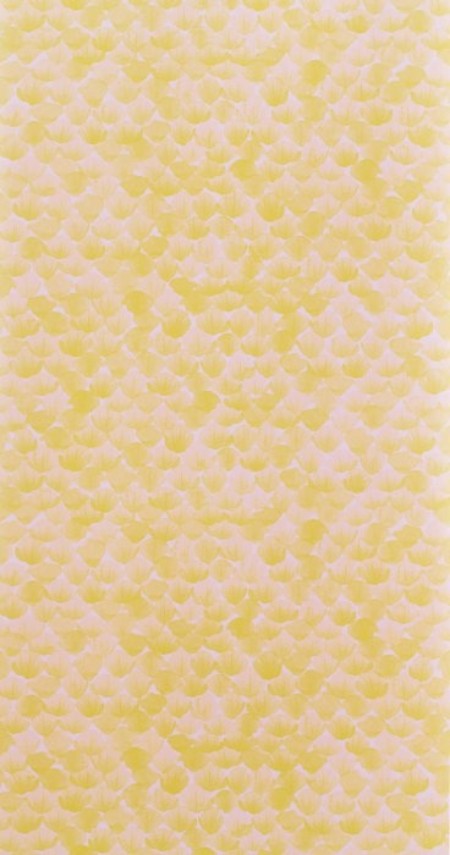 Afbeeldingen van Poppy Sorbet - WP2410