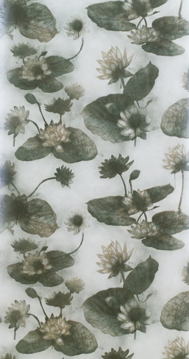 Afbeeldingen van Lotus Lake Emerald - WP2402