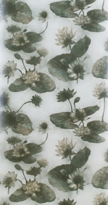 Picture of Lotus Lake Emerald - WP2402