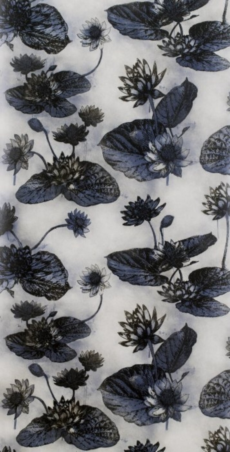 Picture of Lotus Lake Deep - WP2403