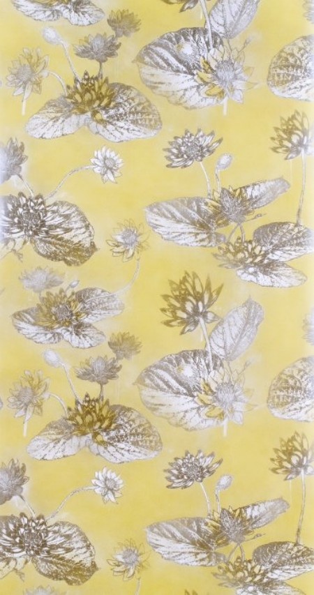 Afbeeldingen van Lotus Lake Dawn - WP2401