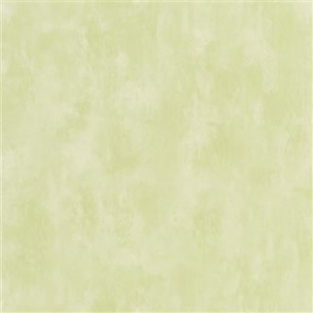 Picture of PARCHMENT - CARDAMON POD - PDG719/31