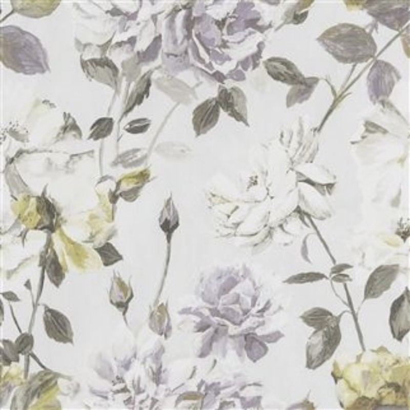 Picture of COUTURE ROSE - MAUVE - PDG711/03