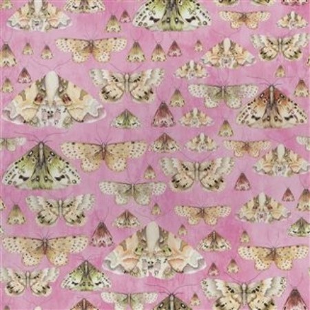 Picture of ISSORIA - ROSE - PDG713/03