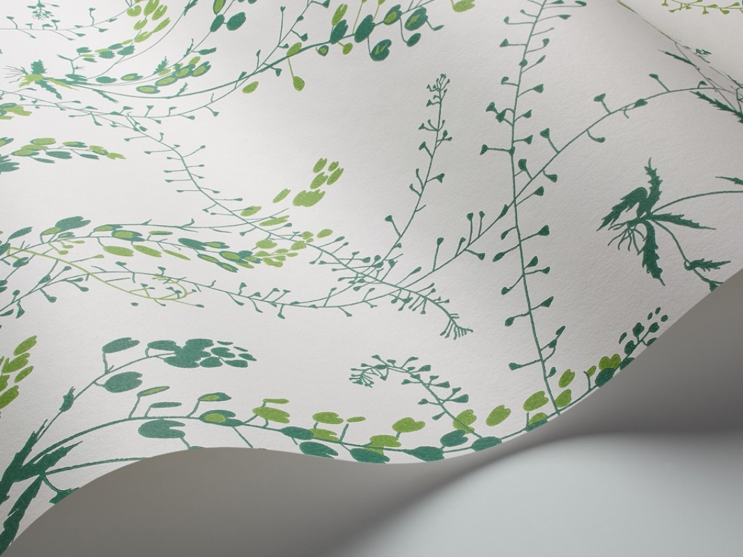 Picture of Bladranker - 1787