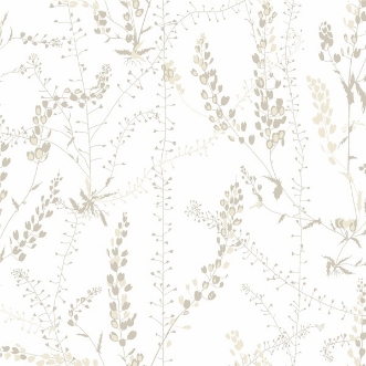 Picture of Bladranker - 1785