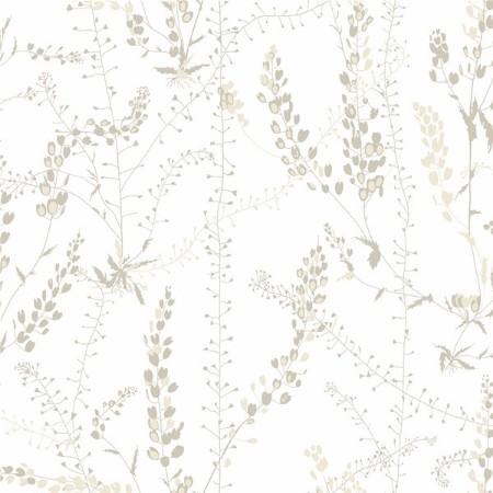 Picture of Bladranker - 1785