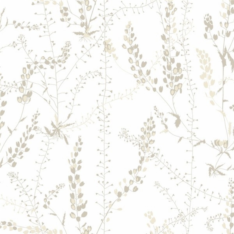 Picture of Bladranker - 1785