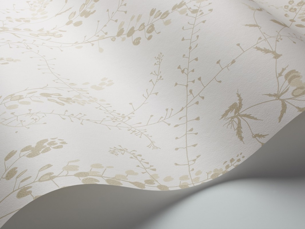 Picture of Bladranker - 1785