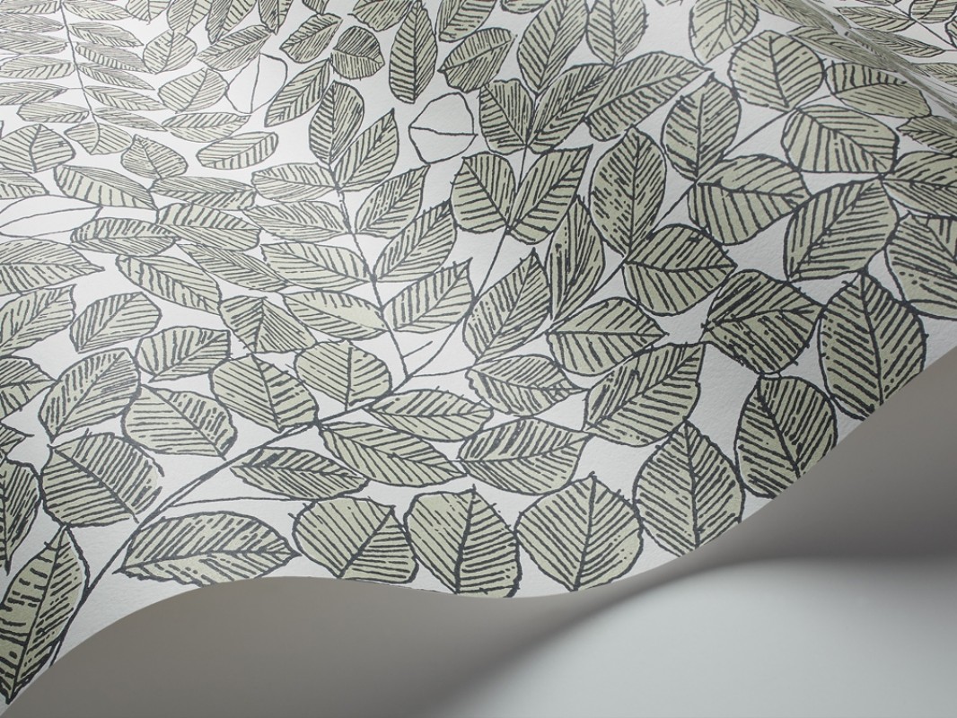 Afbeeldingen van Romans - 1769