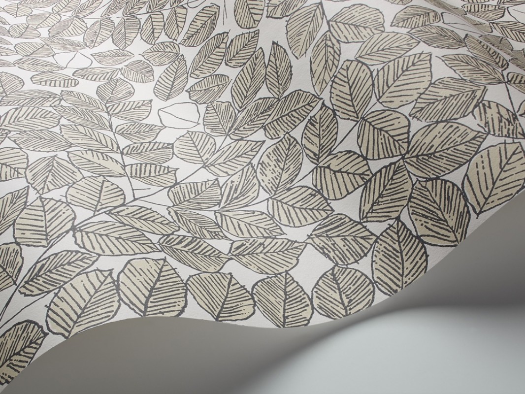 Picture of Romans - 1768