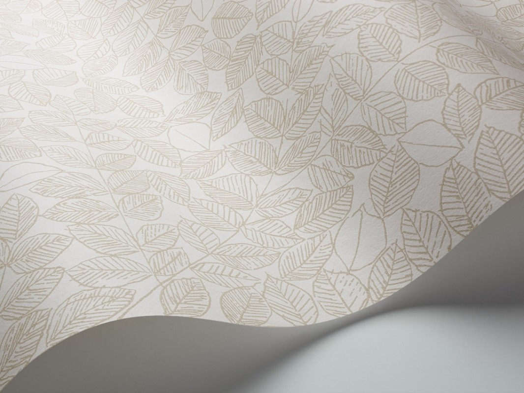 Picture of Romans - 1767