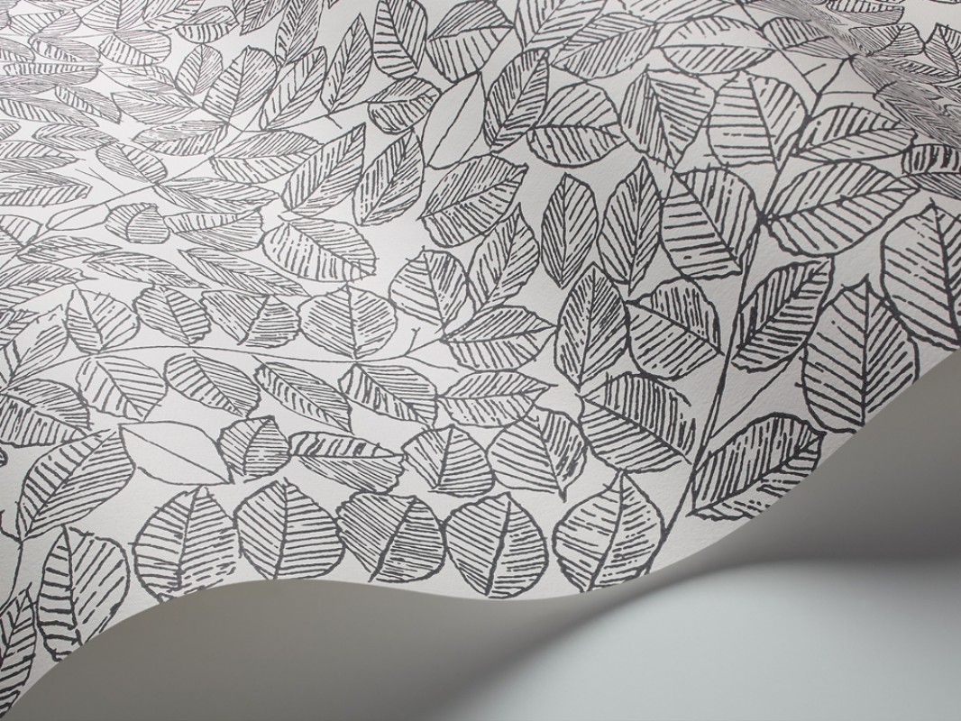 Picture of Romans - 1766