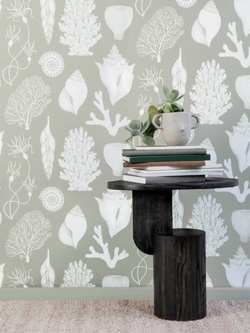 Bild på Shells - Aqua - 100236-675