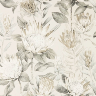 Image de King Protea Linen/Mica - 216647
