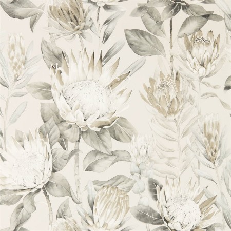 Image de King Protea Linen/Mica - 216647