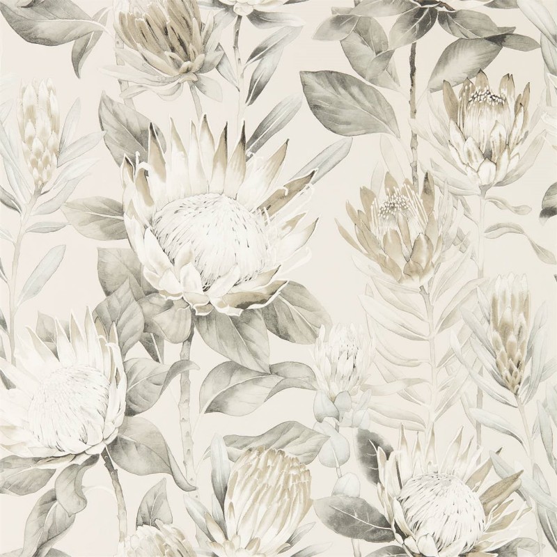Image de King Protea Linen/Mica - 216647