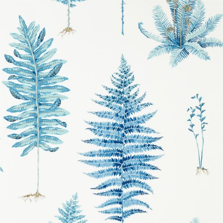 Image de Fernery China Blue - 216635