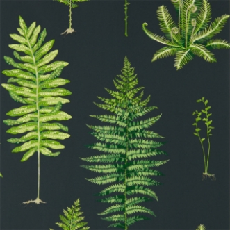 Picture of Fernery Botanical Green/Charcoal - 216634