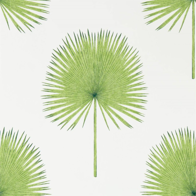 Image de Fan Palm Botanical Green - 216636