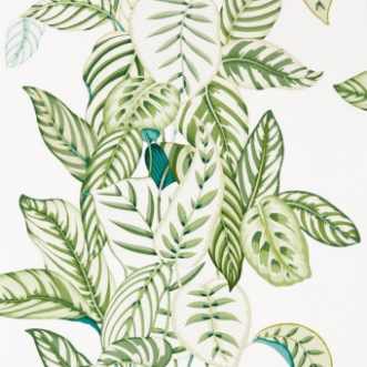 Picture of Calathea Botanical Green - 216630