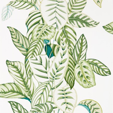 Picture of Calathea Botanical Green - 216630