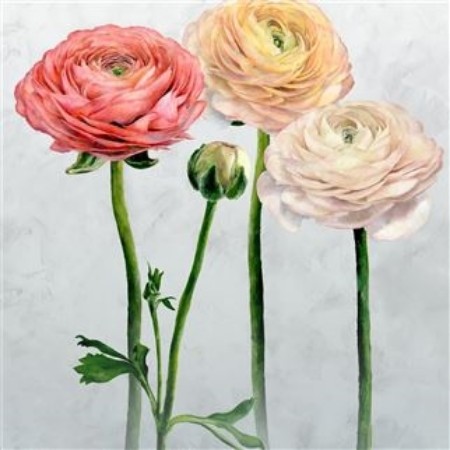 Picture of TOURANGELLE SCENE 2 PEONY - PDG1100/01