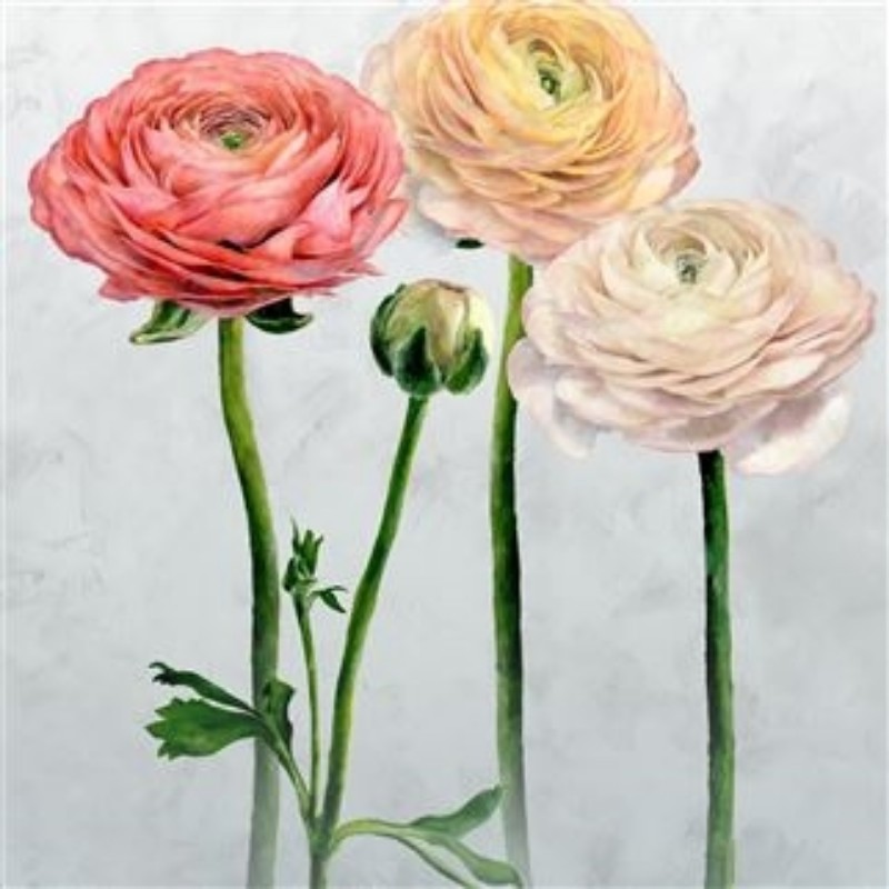Picture of TOURANGELLE SCENE 2 PEONY - PDG1100/01